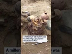 A millennium-old mummy was found during a gas pipeline installation in Peru