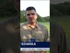 Zatrzymania nielegalnych migrantów na granicy polsko-litewskiej i polsko-białoruskiej