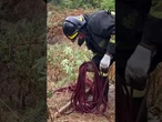 Una donna è dispersa a Favara (Agrigento) travolta dall'acqua durante un temporale
