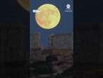 Full moon rises behind ancient Greek temple - ABC News