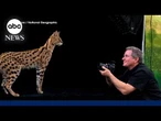 Photographer shares close-up of world's most fascinating species