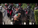 Meloni 'saluta' Briciola, il cane mascotte dei Carabinieri, durante incontro con premier coreano