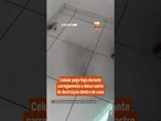 Celular pega fogo durante carregamento e deixa rastro de destruição dentro de casa