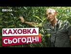 На КАХОВСЬКІЙ ГЕС виріс ОАЗИС  КІЛОМЕТРИ ЛІСУ на місці ТРАГЕДІЇ | ЕКОЛОГ В ШОЦІ...