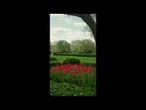 Trump pianta una Magnolia nel giardino della Casa Bianca scavando con una pala