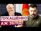 ЛУКАШЕНКО ВІДЧУВ ПЕРЕМОГУ УКРАЇНИ? Перепросив Зеленського! І це не випадково! У МІНСЬКУ ЩОСЬ ЗНАЮТЬ?