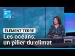 Journée mondiale des océans: un pilier du climat à protéger • FRANCE 24