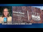 La COP30 s'ouvre lundi au Brésil sans grande prétention • FRANCE 24