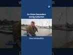 In Deutschland werden immer weniger Kinder geboren. Besonders betroffen ist der Osten Deutschlands.