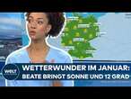 WETTER IN DEUTSCHLAND: Beendet Hochdruckgebiet Beate den Winter? Temperaturen bis zu zwölf Grad