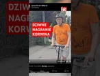Korwin-Mikke w podkolanówkach i kasku śmiga na hulajnodze. O co chodzi politykowi? #fakt #polityka
