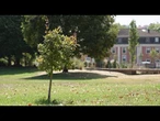 Des villes plus vertes : le succès ou l’échec du pacte vert se jouera-t-il dans nos rues ?