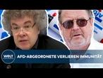 AFD IN DER KRISE – Hitlergruß & Beleidigung: Immunität von Brandner und Moosdorf aufgehoben