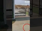 Incredible moment Earth’s crust RUPTURES during deadly earthquake #news #thesun #earthquake