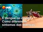 Covid ou dengue? Veja sintomas, transmissão e como diferenciar as duas doenças em alta no Brasil