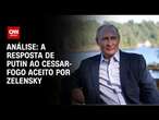 Análise: A resposta de Putin ao cessar-fogo aceito por Zelensky | WW