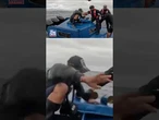 Coast Guard storms drug vessel in STUNNING video #foxnews #news #shorts #coastguard