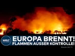 FEUER-KATASTROPHE: Gewaltige Feuerfront frisst sich unaufhaltsam durch Frankreich und Spanien!