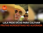 Lula pede dicas para cultivar frutas nordestinas no Alvorada