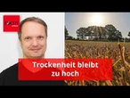 Juli-Regen reicht nicht aus: Trockenheit bleibt zu hoch