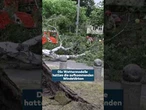 BERLIN: Heftiger Sturm wütet! Zwei Tote und mehrere Schwerverletzte #shorts #berlin #welt
