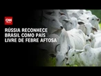 Rússia reconhece Brasil como área livre de febre aftosa sem vacinação; entenda | CNN AGRO NEWS