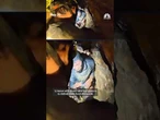 New video and images released from Laos cave rescue