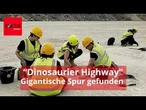 166 Millionen Jahre alt: Video zeigt gigantische Dinosaurier-Spuren in England