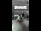 Circondano turista con disabilità in carrozzina e sua moglie e strappano le collane a Milano
