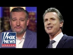 Ted Cruz: Gavin Newsom is 'good at being slick'