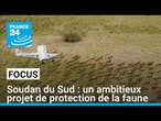 Soudan du Sud : un ambitieux projet de protection de la faune • FRANCE 24