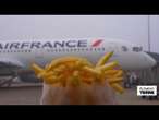 Les avionneurs utilisent l'huile de nos frites pour faire voler les avions • FRANCE 24