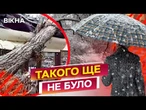 УВАГА! Аномальні пориви вітру і ДЕРЕВОПАД  НЕГОДА в Одесі та Миколаєві | ОСЬ, що ВІДОМО