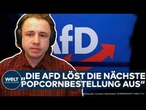 DEUTSCHLAND: Politik verheddert sich im Streit – AfD nutzt Situation geschickt!