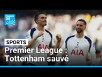 Premier League : Tottenham bat Everton et se sauve à la dernière journée • FRANCE 24