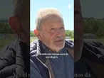 El nido viral de unas cigüeñas de Burgos #burgos #cigüeñas