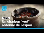 Bénin : un charbon "vert" à base de noix de palme et d'amidon de manioc • FRANCE 24