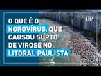 Entenda o que é o norovírus, que provocou mais de 11 mil casos de virose em São Paulo