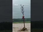 Man rescued after to clinging to pole above raging floodwaters for hours