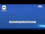 Rare orca behavior caught on camera