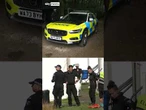 Specialists scour woods for human remains