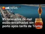 Taxação de Trump deixa 95 toneladas de mel encalhadas em porto no Ceará, afirma Casa Apis