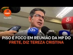 Piso é foco em reunião da MP do Frete, diz Tereza Cristina