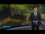 tagesschau 20:00 Uhr, 16.11.2025