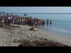 La tortue de mer 'Pennywise' relâchée dans l'océan Atlantique après sa guérison