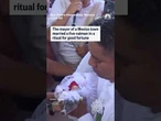 Mexico mayor marries caiman in ritual for good fortune