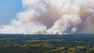 Wielkie pożary w Holandii. Kraj prosi Unię o pomoc