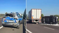 Policjant ranny po karambolu. Wypadek spowodował... łoś