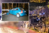 Horror-Unfall im Erzgebirge: Drei Schwerverletzte, ein Pferd gestorben