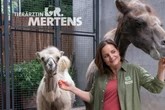 Wird "Tierärztin Dr. Mertens" fortgesetzt? "Das Interesse ist ungebrochen!"